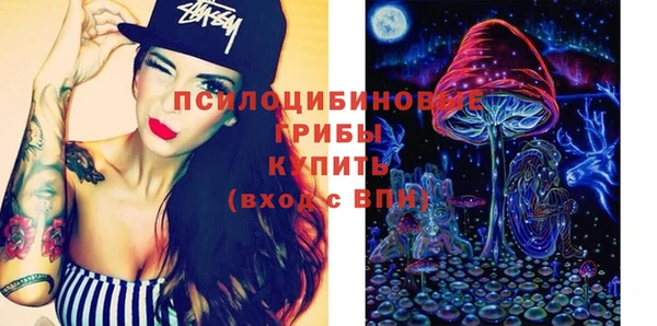 МДПВ Козельск